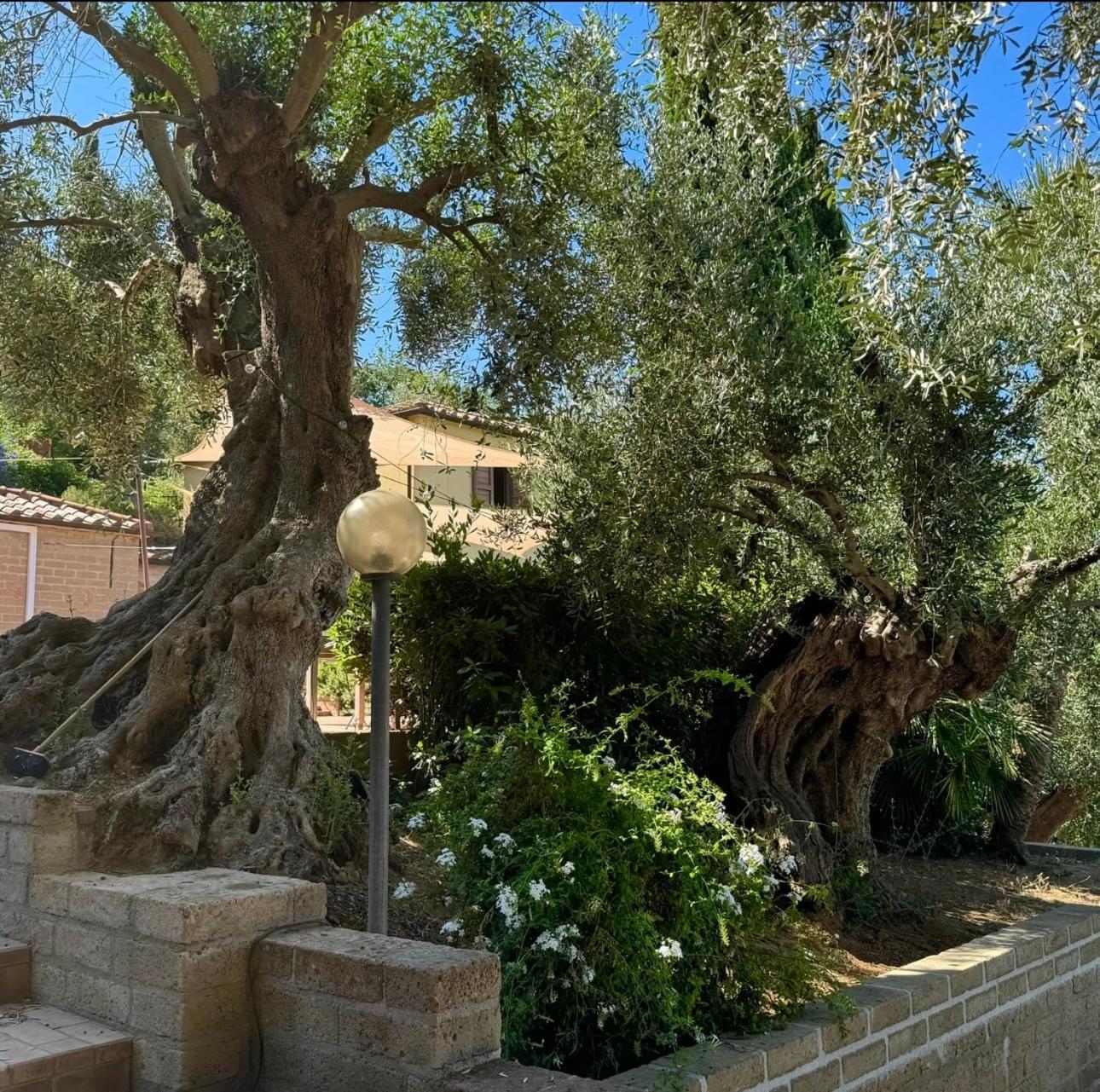 Aparthotel Madonna Del Poggio Cav Scarlino Exterior foto